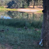 Review photo of Finnon Lake Recreation Area by Maria O., June 29, 2021