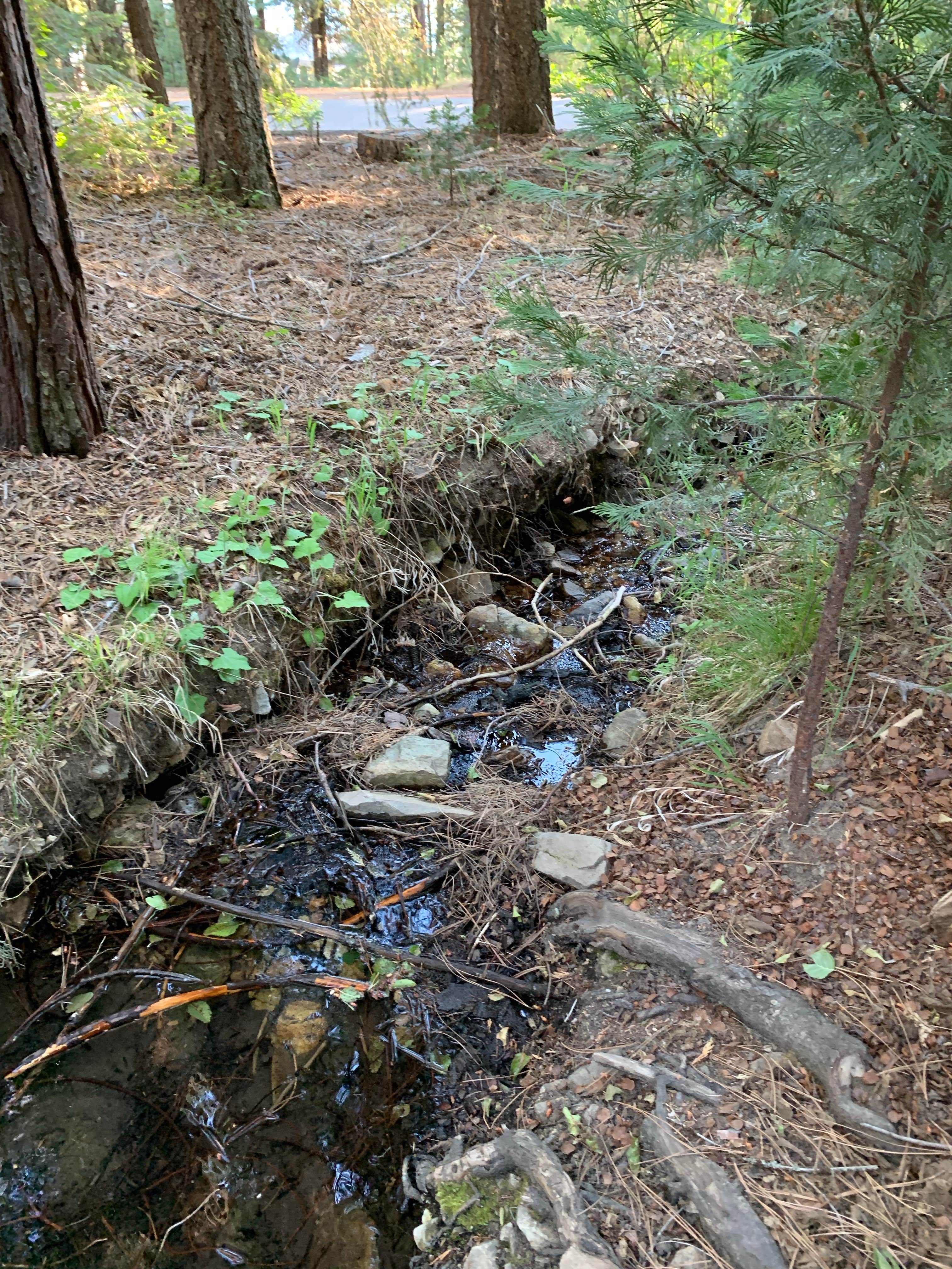 Camper-submitted photo at Cool Springs Campground near Crescent Mills, CA