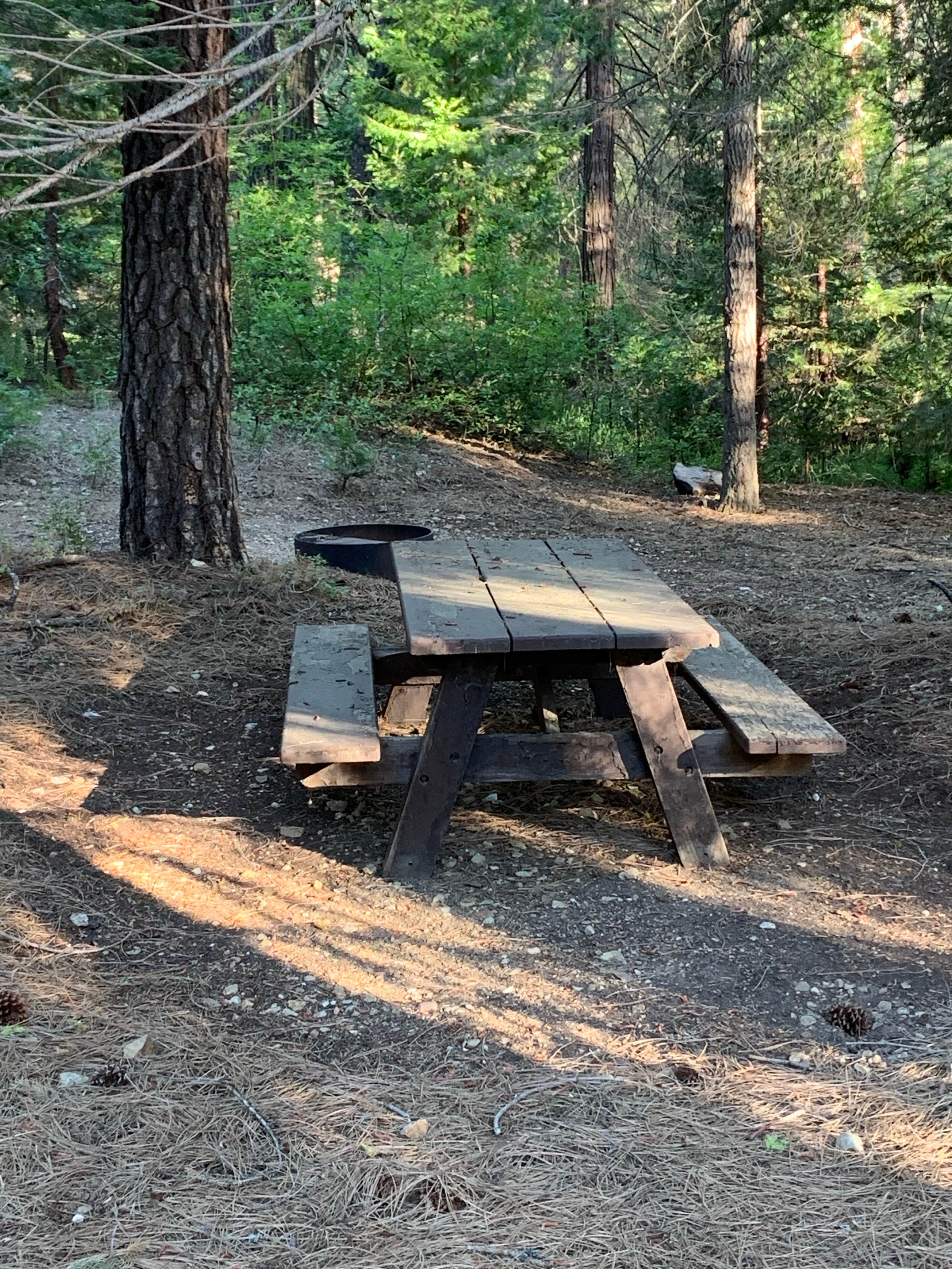 Camper submitted image from Cool Springs Campground - 3