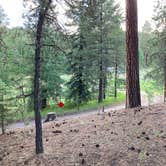 Review photo of San Juan National Forest Williams Creek Campground by Chris P., June 29, 2021