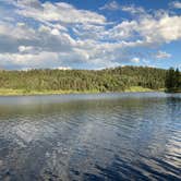 Review photo of San Juan National Forest Williams Creek Campground by Chris P., June 29, 2021