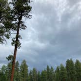 Review photo of San Juan National Forest Williams Creek Campground by Chris P., June 29, 2021