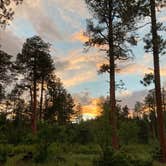 Review photo of San Juan National Forest Williams Creek Campground by Chris P., June 29, 2021