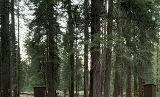 Camping near Plumas Pines Resort : PG&E Lake Almanor Area Last Chance Creek Campground, Chester, California