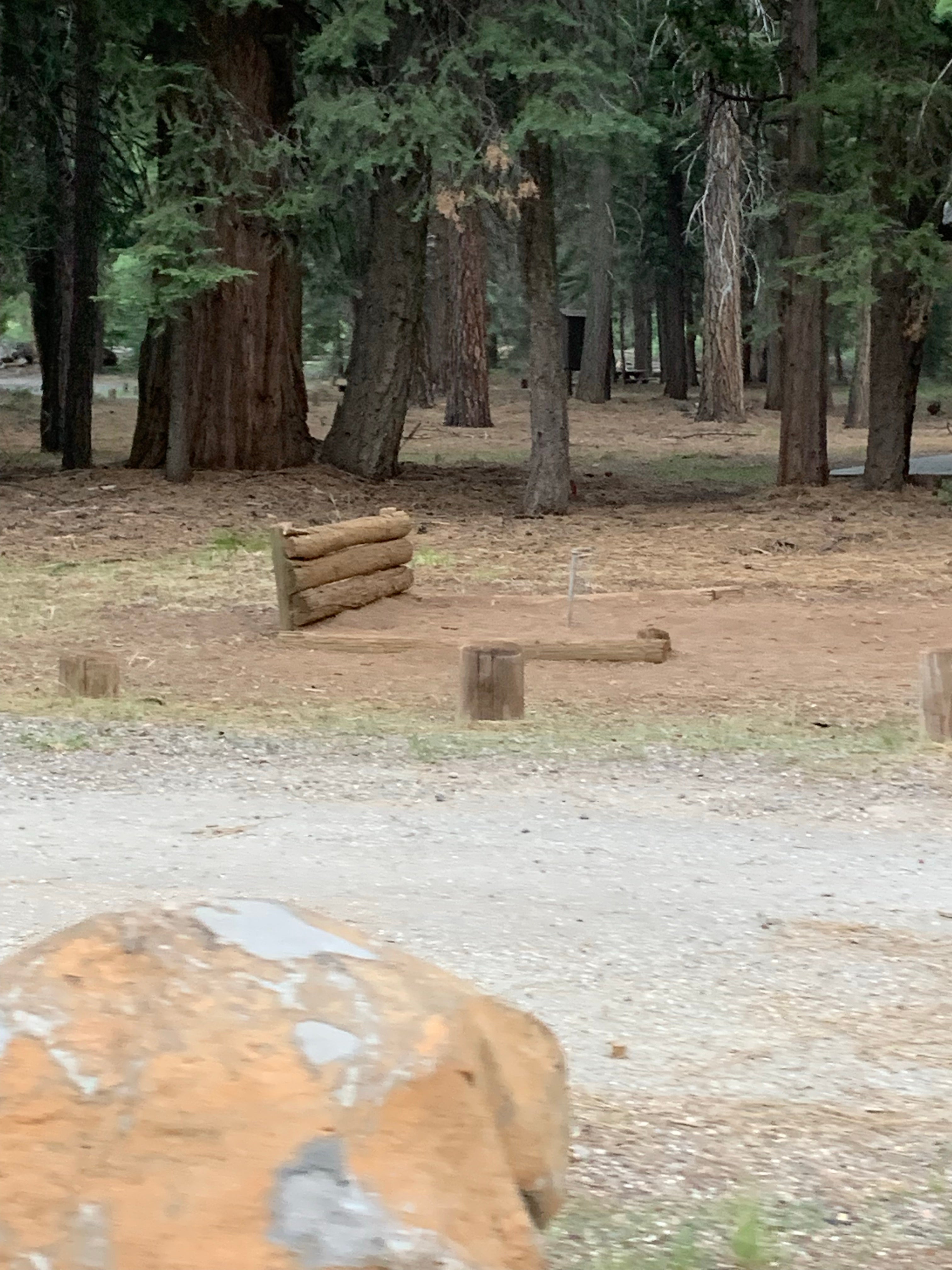 Camper submitted image from PG&E Lake Almanor Area Last Chance Creek Campground - 2