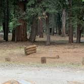 Review photo of PG&E Lake Almanor Area Last Chance Creek Campground by Susan R., June 29, 2021