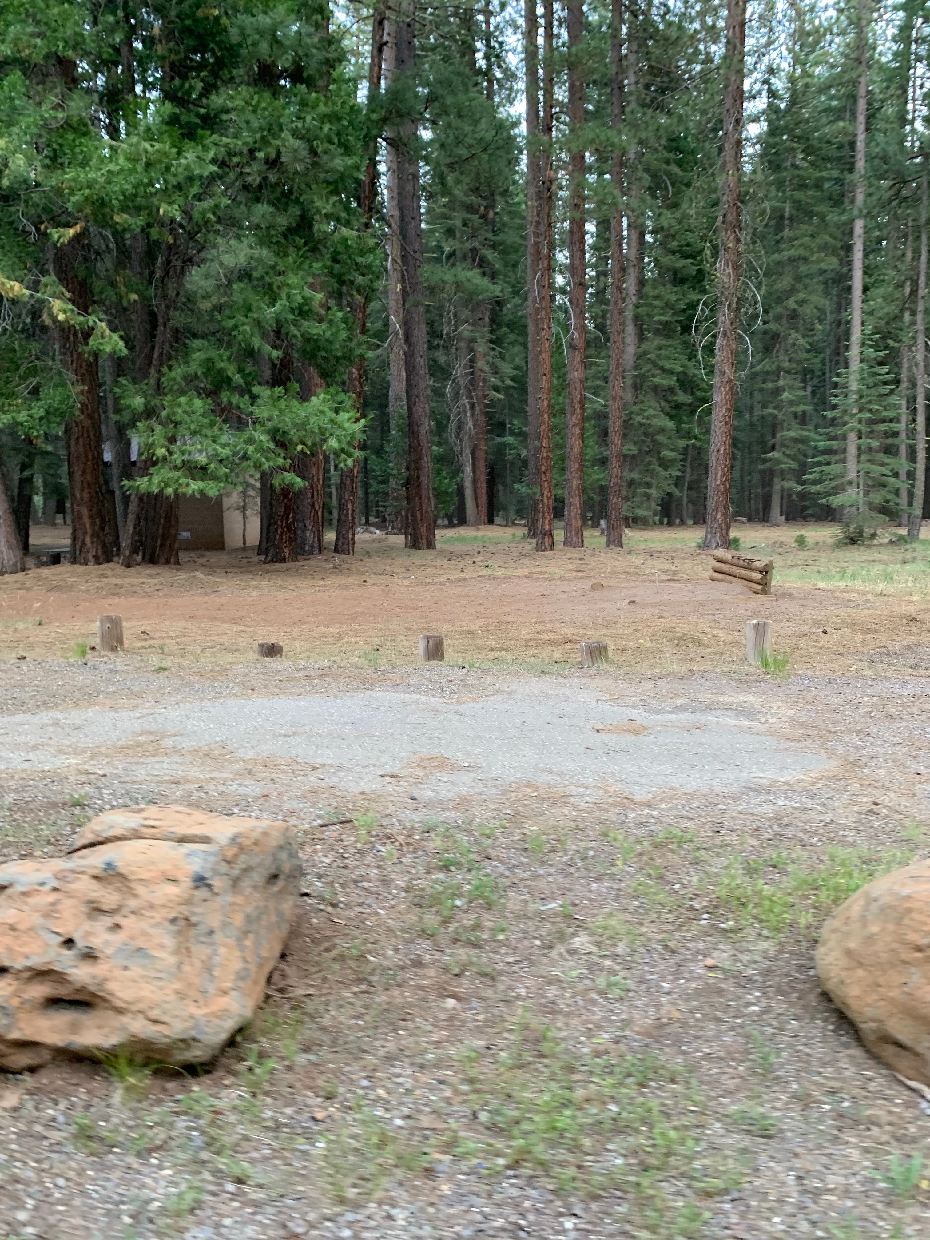 Camper submitted image from PG&E Lake Almanor Area Last Chance Creek Campground - 4
