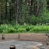 Review photo of PG&E Lake Almanor Area Last Chance Creek Campground by Susan R., June 29, 2021