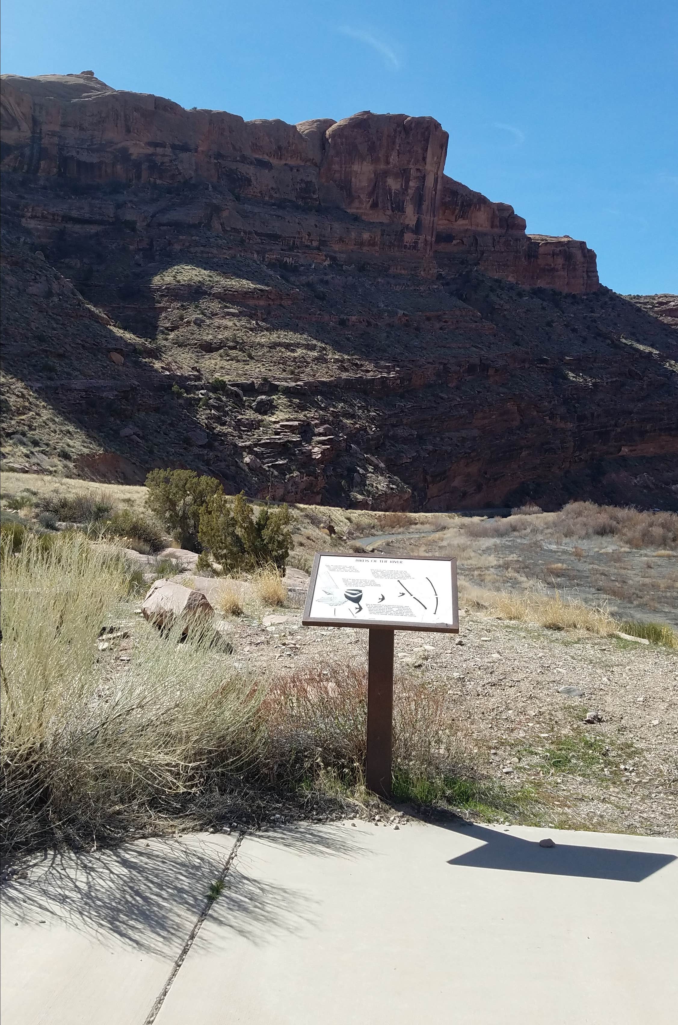 Camper-submitted photo at Grandstaff Campground near Arches National Park