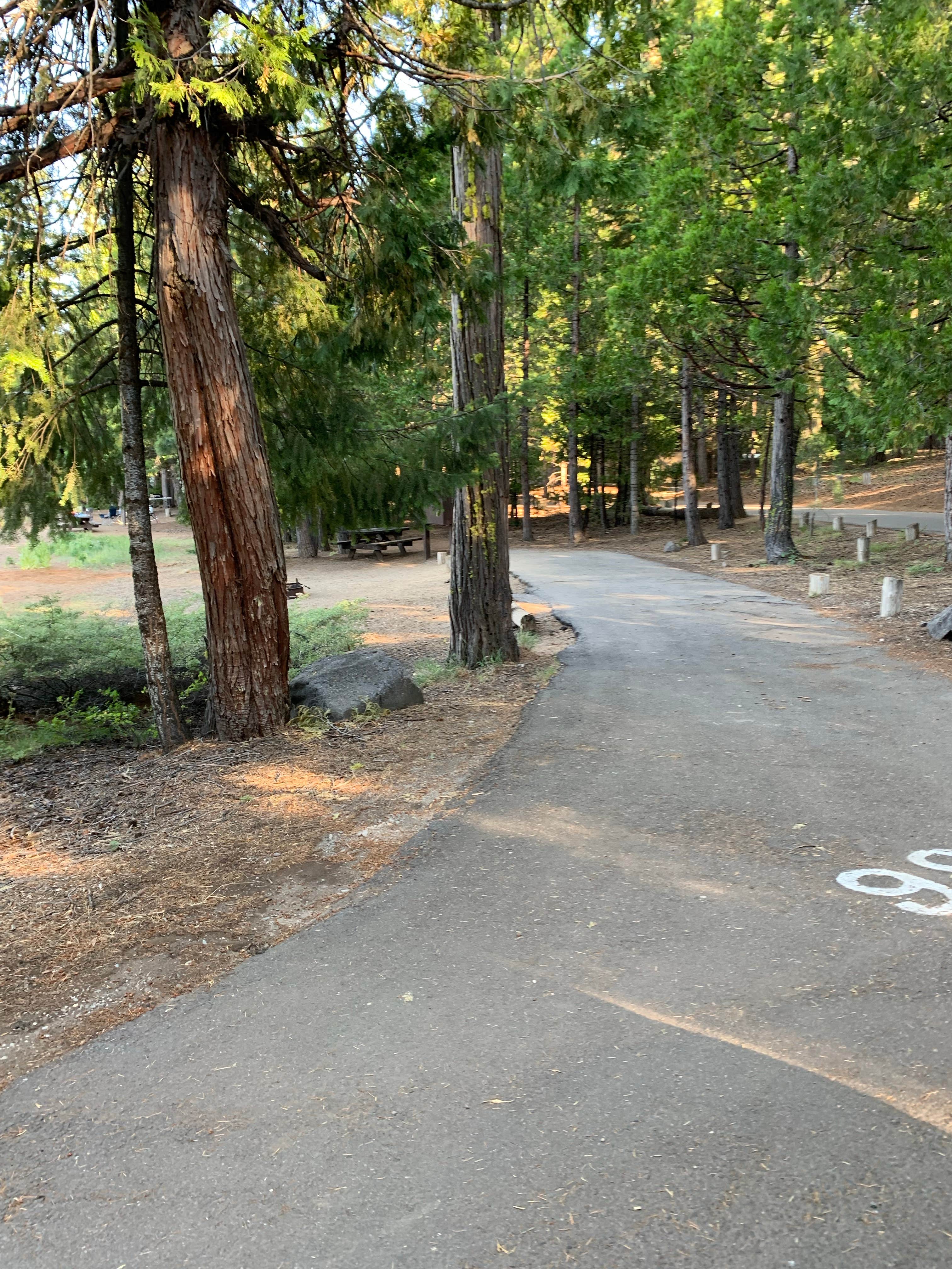 Camper submitted image from PG&E Lassen National Forest Rocky Point Campground - 2