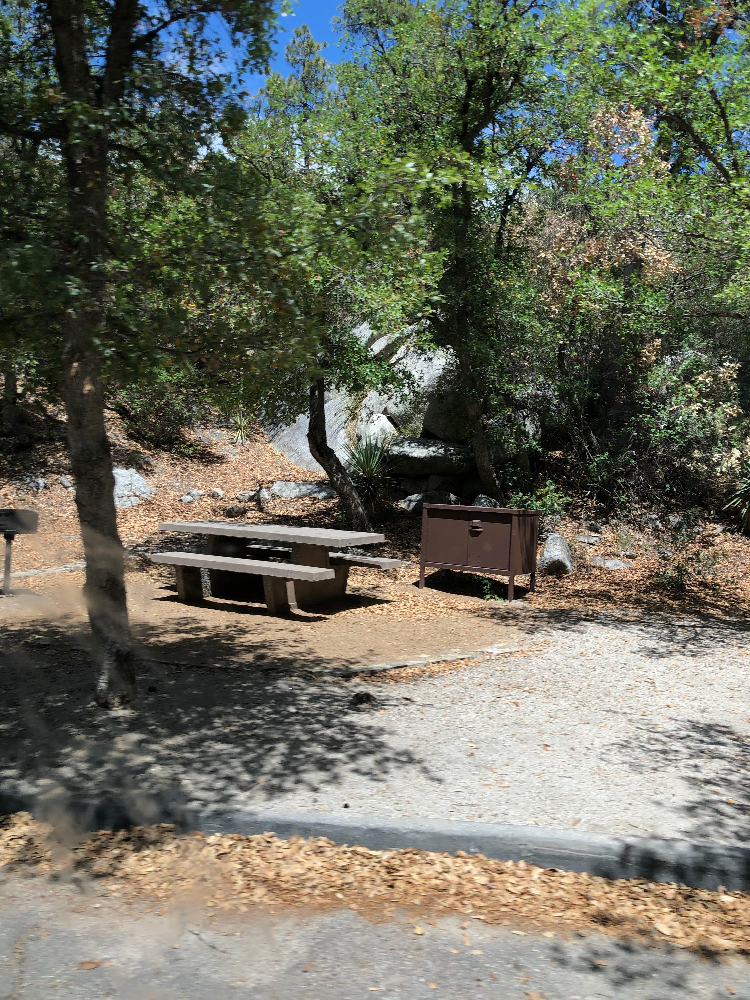 Camper-submitted photo at General Hitchcock Campground near Oro Valley, AZ