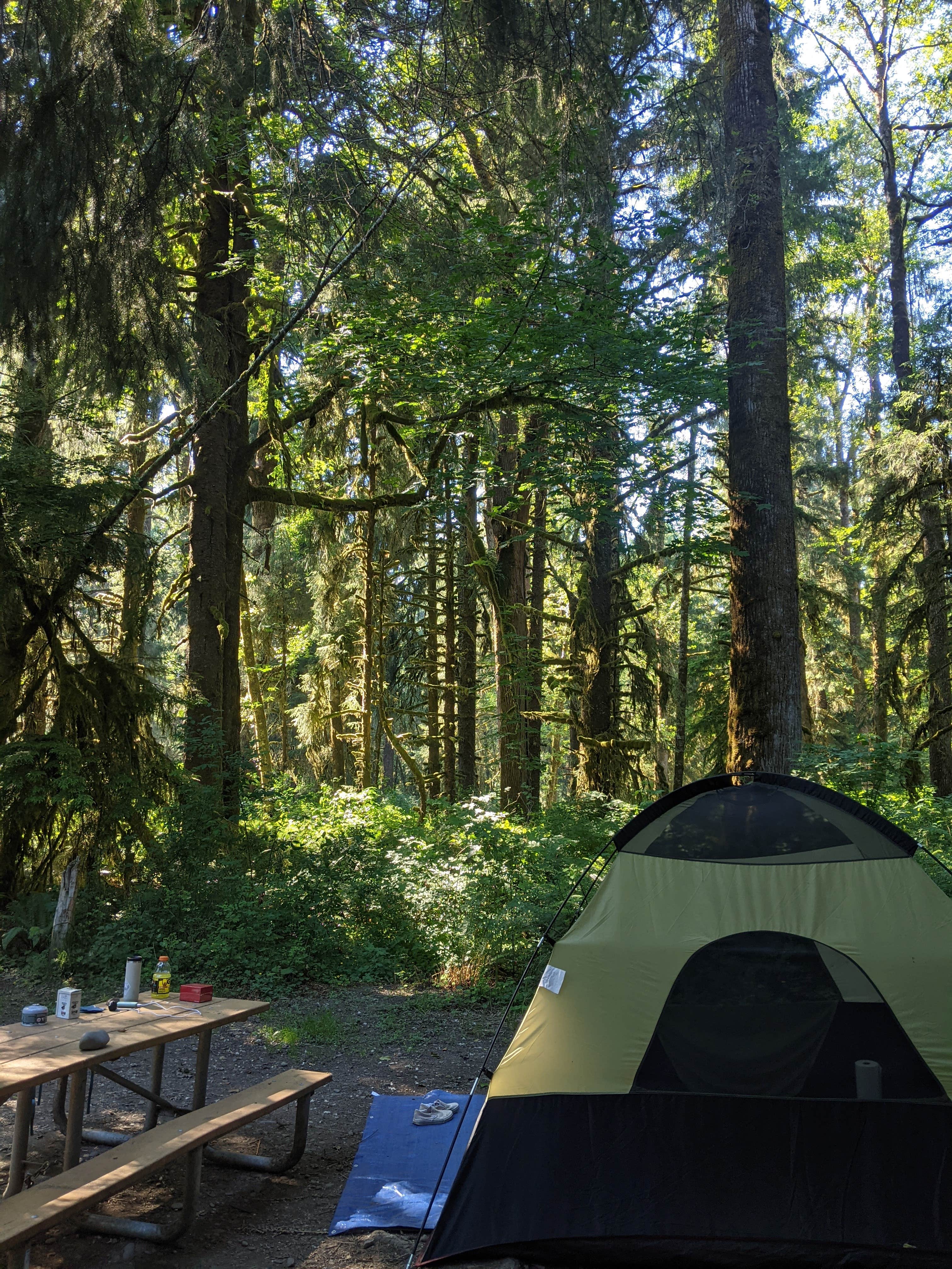 Camper-submitted photo at Cottonwood Campground near Forks, WA