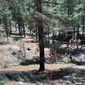 Review photo of Spencer Canyon Campground by Candy P., June 29, 2021