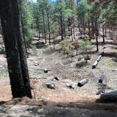 Review photo of Spencer Canyon Campground by Candy P., June 29, 2021