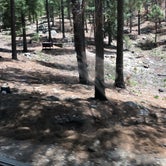 Review photo of Spencer Canyon Campground by Candy P., June 29, 2021
