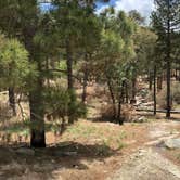 Review photo of Spencer Canyon Campground by Candy P., June 29, 2021