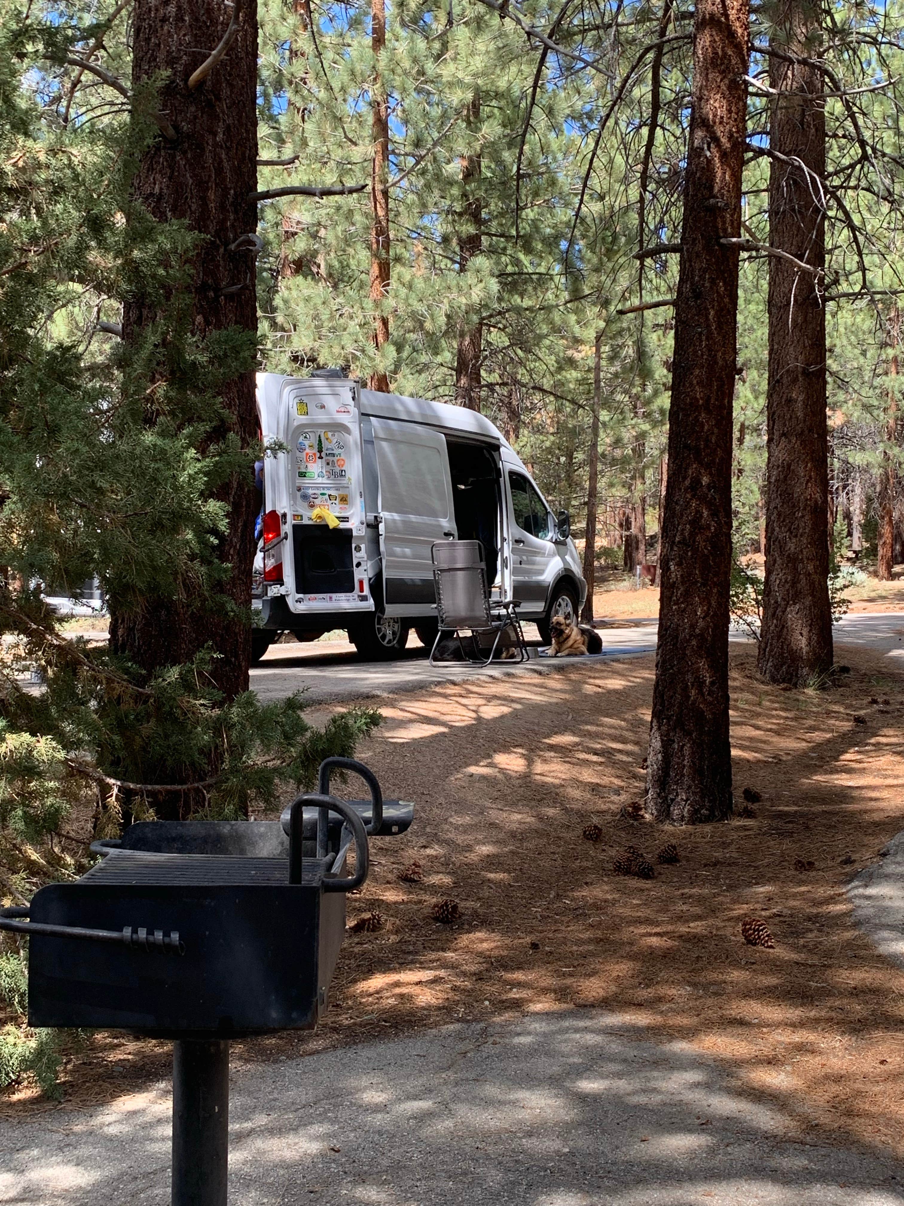 Camper-submitted photo at Troy Meadow Campground near Onyx, CA