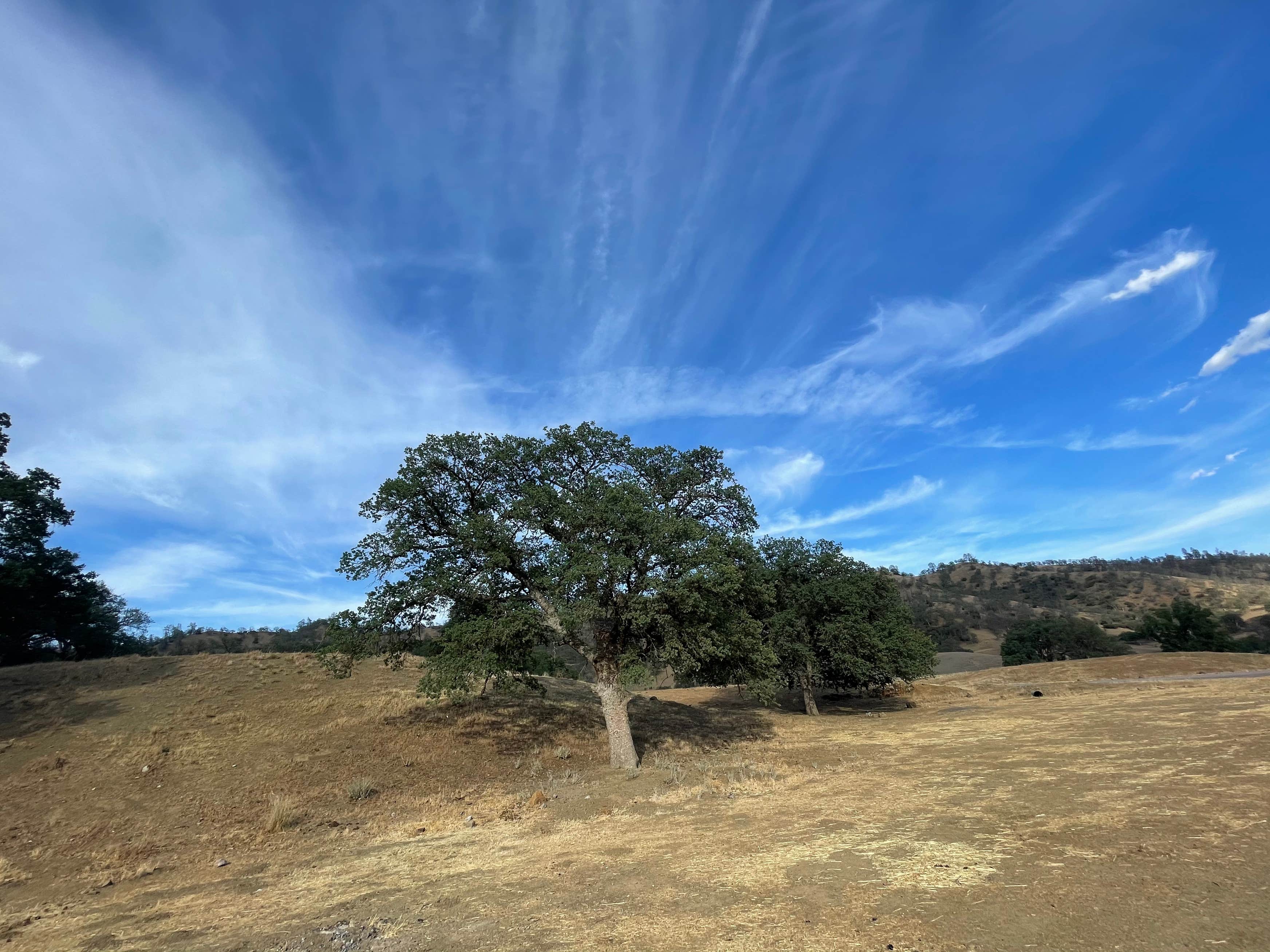 Cache Creek Canyon The Dyrt