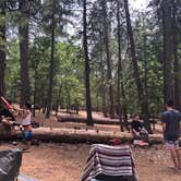 Review photo of Gold Country Campground Resort by Maria O., June 29, 2021