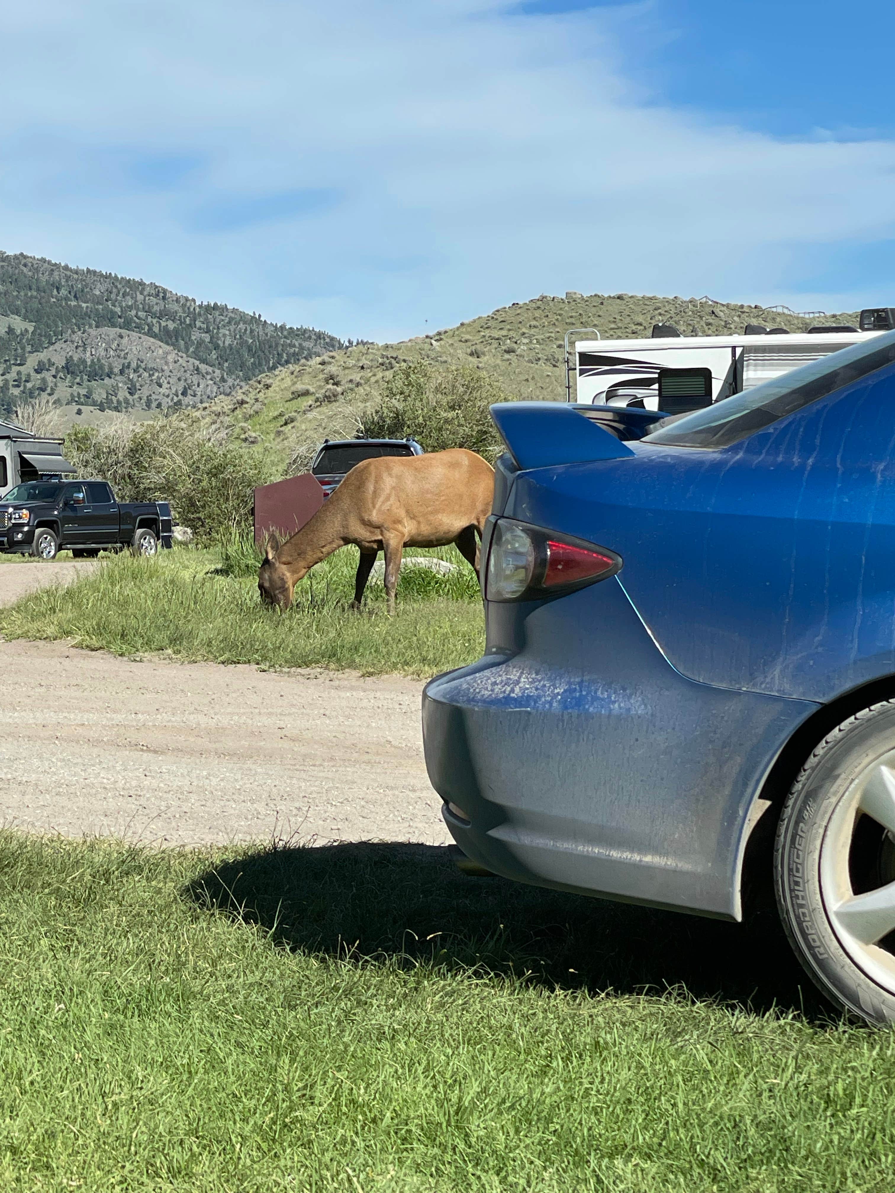 Camper-submitted photo at Eagle Creek Campground near Yellowstone National Park