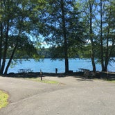 Review photo of Mayfield Lake Park by Colleen T., July 17, 2016