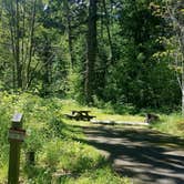 Review photo of Blue Lake Creek Campground - Gifford Pinchot Nf (WA) by Andrea R., June 29, 2021