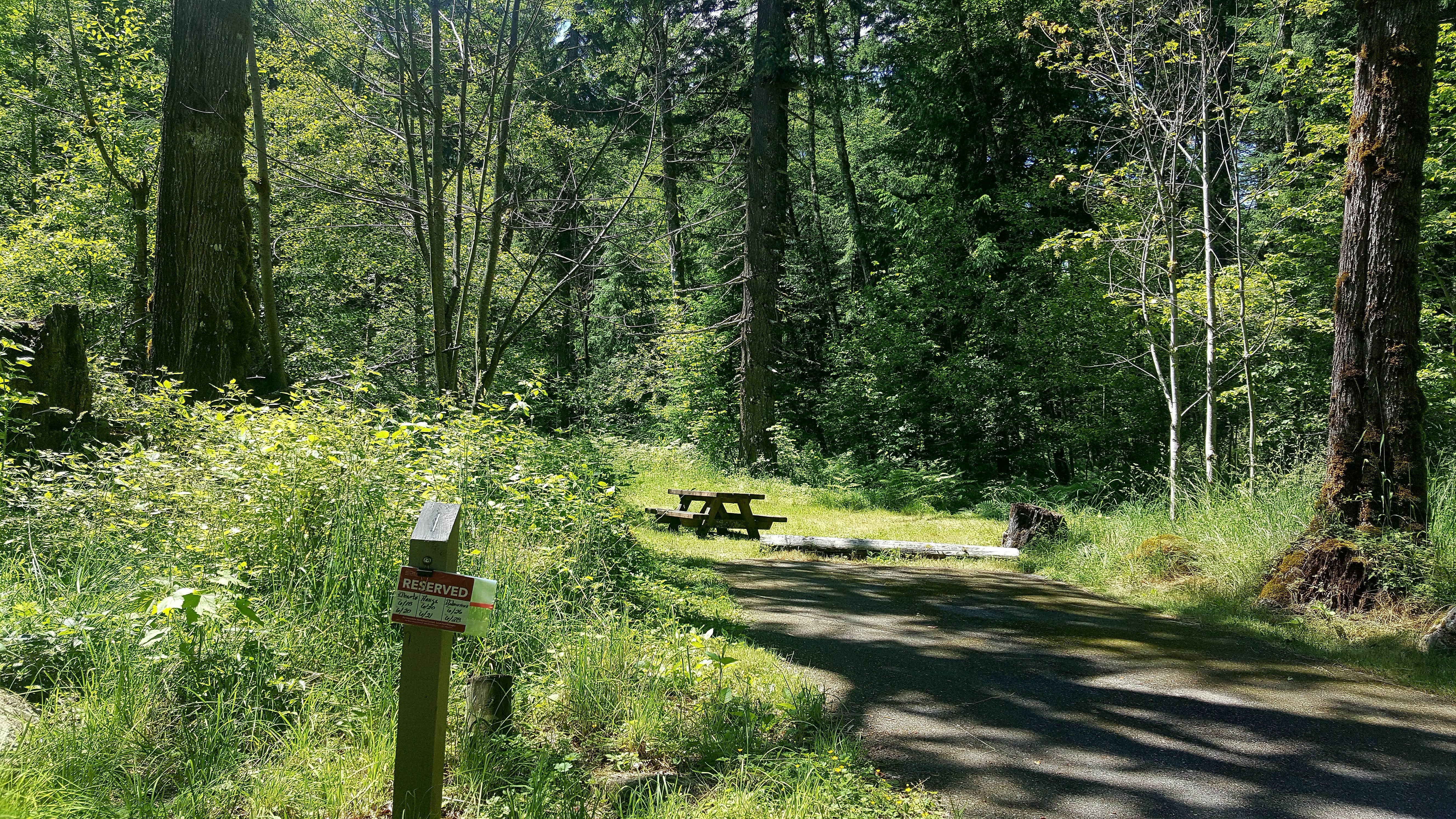 Camper submitted image from Blue Lake Creek Campground - Gifford Pinchot Nf (WA) - 2