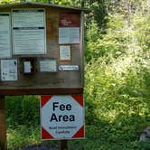 Review photo of Blue Lake Creek Campground - Gifford Pinchot Nf (WA) by Andrea R., June 29, 2021