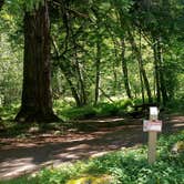 Review photo of Blue Lake Creek Campground - Gifford Pinchot Nf (WA) by Andrea R., June 29, 2021