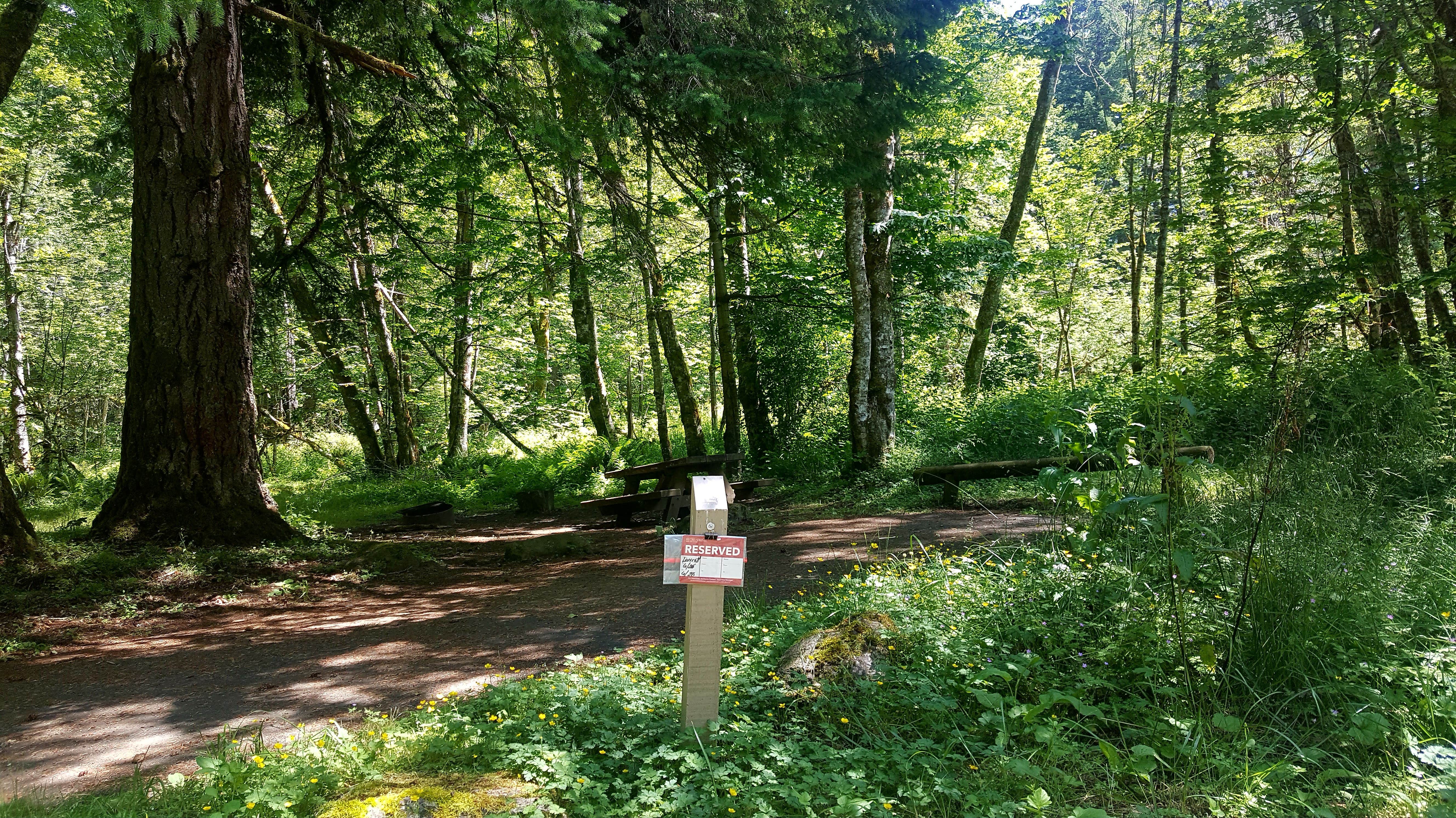 Camper submitted image from Blue Lake Creek Campground - Gifford Pinchot Nf (WA) - 5