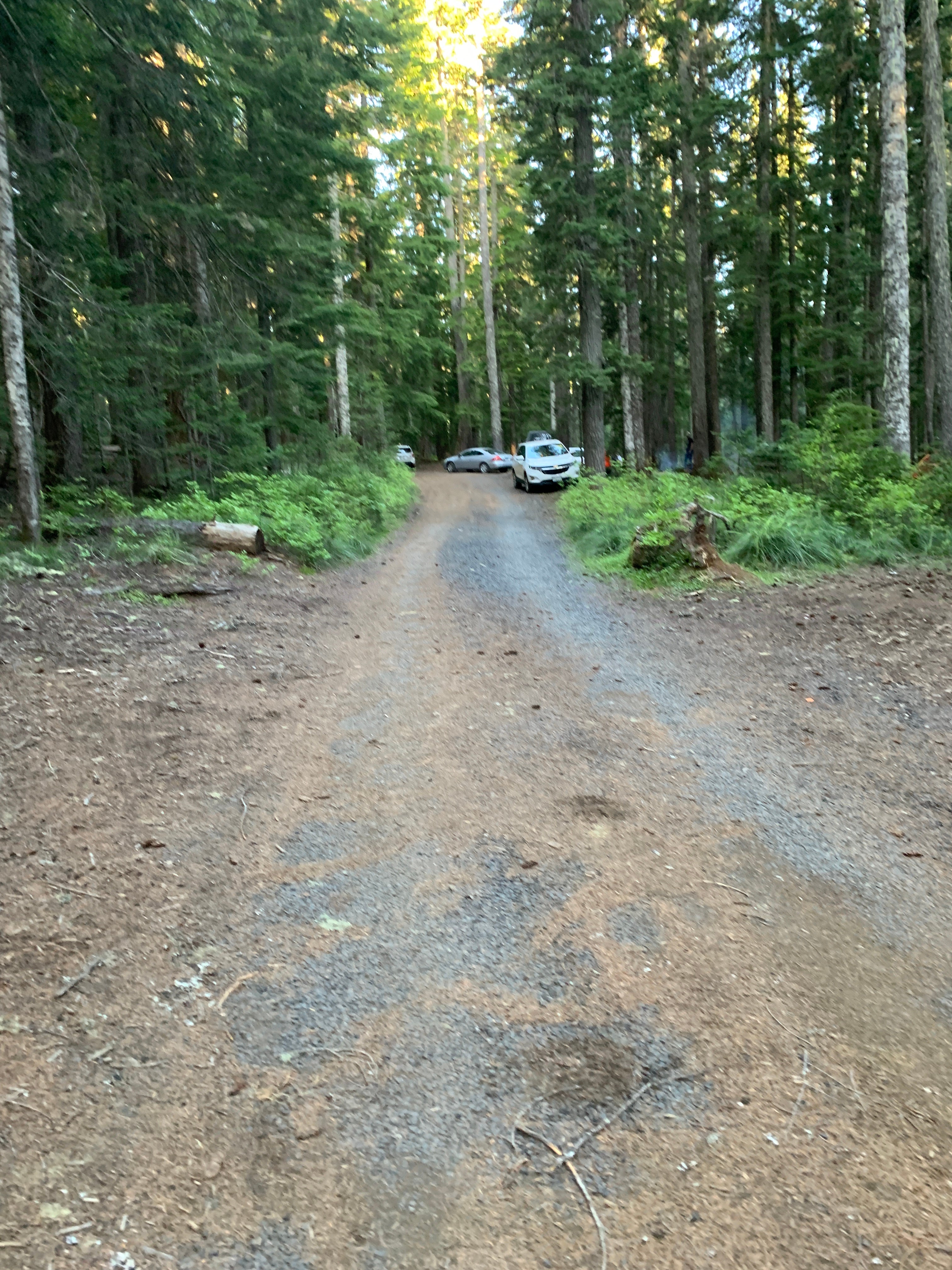 Camper submitted image from Crest Camp Trailhead Campground - 5