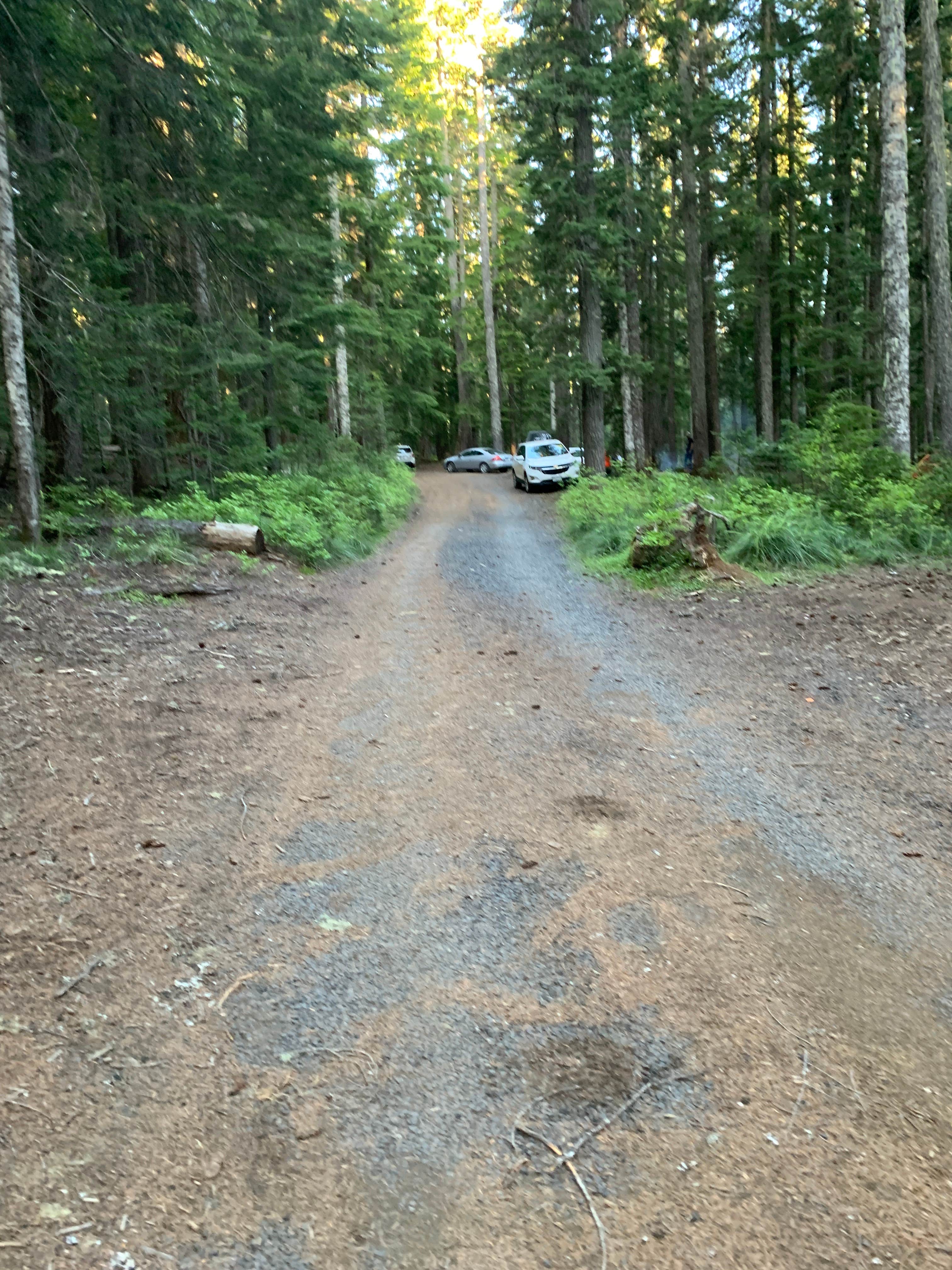 Camper submitted image from Crest Camp Trailhead Campground - 5