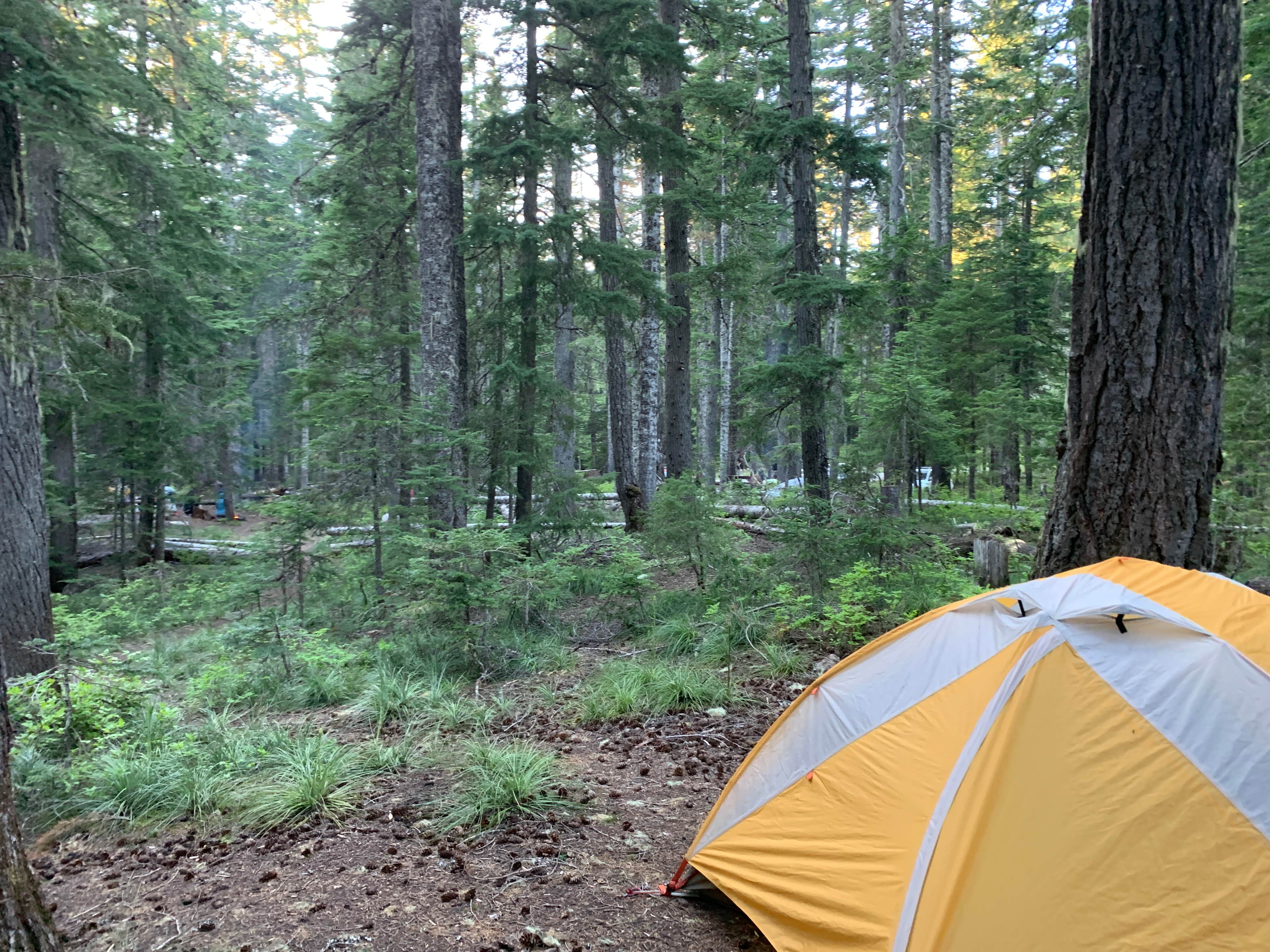 Camper-submitted photo at Crest Camp Trailhead Campground near Carson, WA