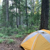 Review photo of Crest Camp Trailhead Campground by Audrey M., June 29, 2021