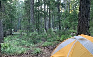 Audrey M.'s photo of tent camping at Crest Camp Trailhead Campground near Columbia River Gorge National Scenic Area