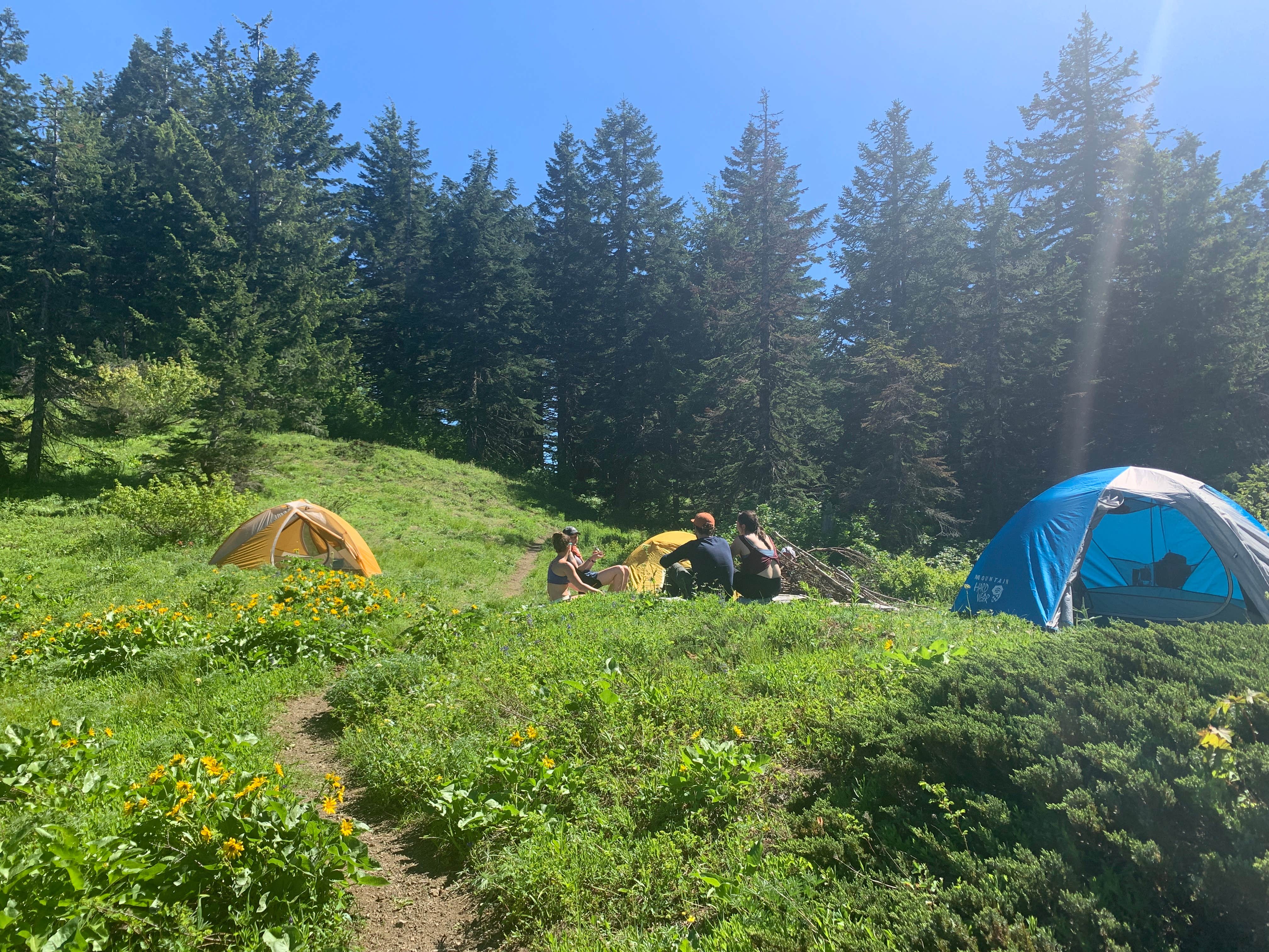 Audrey M.'s photo at Big Huckleberry Mountain Dispersed Campground near Carson, WA
