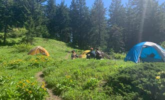 Camping near Forlorn Lakes: Big Huckleberry Mountain Dispersed Campground, Carson, Washington