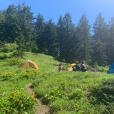 Review photo of Big Huckleberry Mountain Dispersed Campground by Audrey M., June 29, 2021