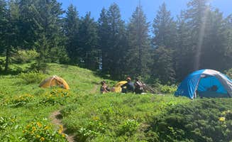 Audrey M.'s photo at Big Huckleberry Mountain Dispersed Campground in Washington