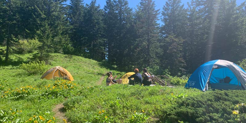 Camper submitted image from Big Huckleberry Mountain Dispersed Campground