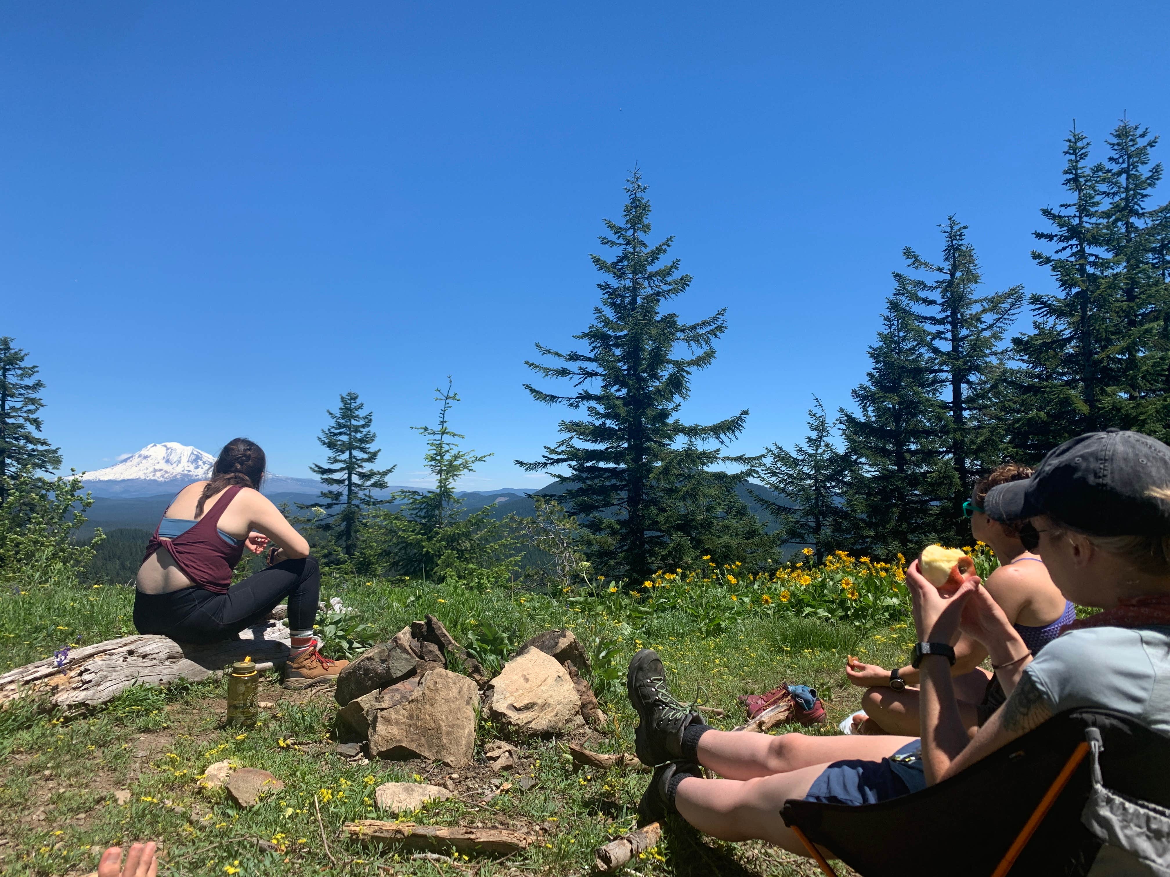 Camper-submitted photo at Big Huckleberry Mountain Dispersed Campground near Hood River, OR