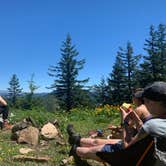 Review photo of Big Huckleberry Mountain Dispersed Campground by Audrey M., June 29, 2021