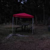 Review photo of Newton Creek Campground by Ryan , June 27, 2021