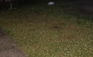 Daniel G.'s photo of rv camping at Hidden Valley Mobile Home Park near Liberty, OH