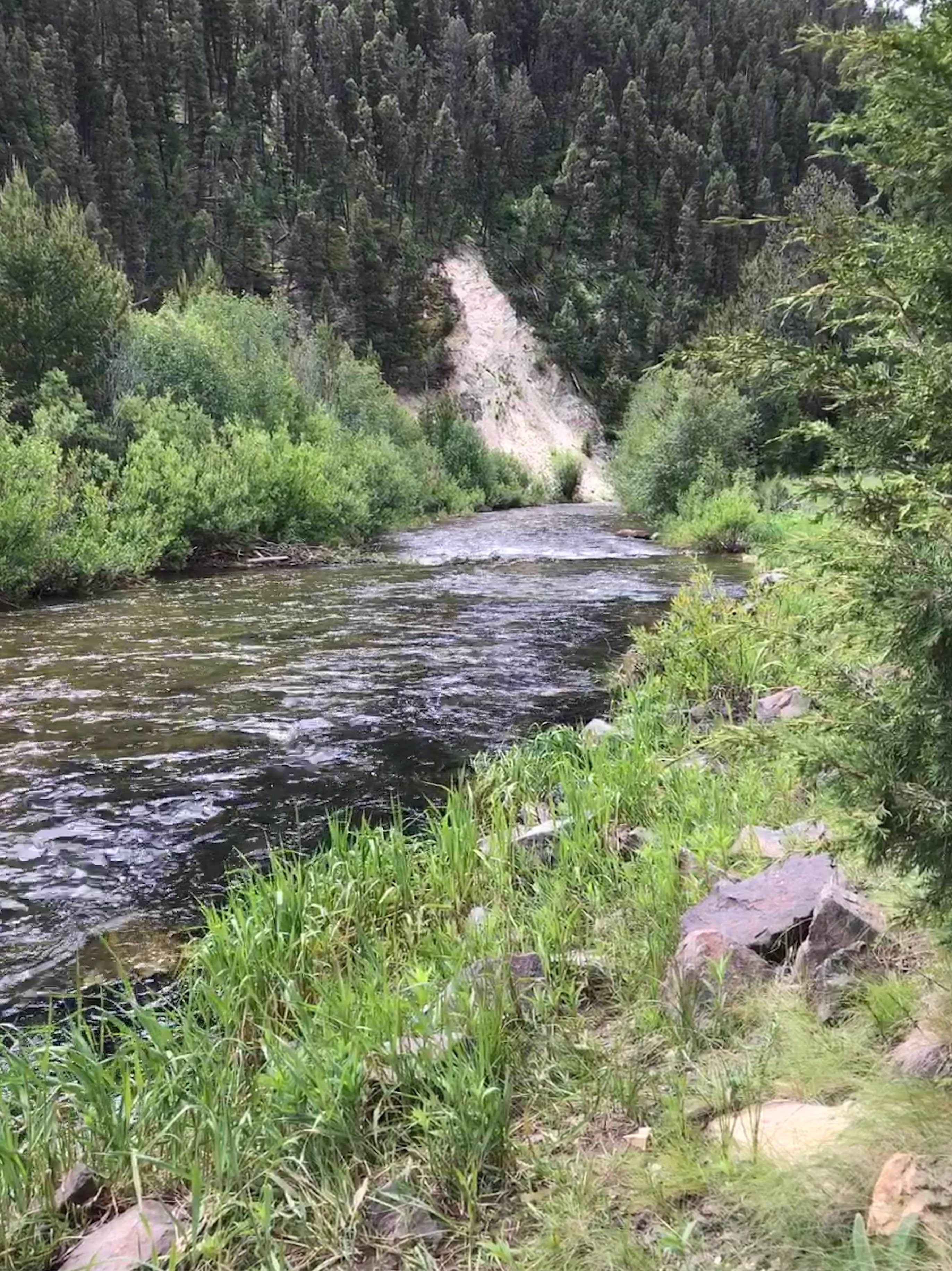 Camper submitted image from Aspen Grove Group Use Area (helena-lewis and Clark Nf, Mt) - 3