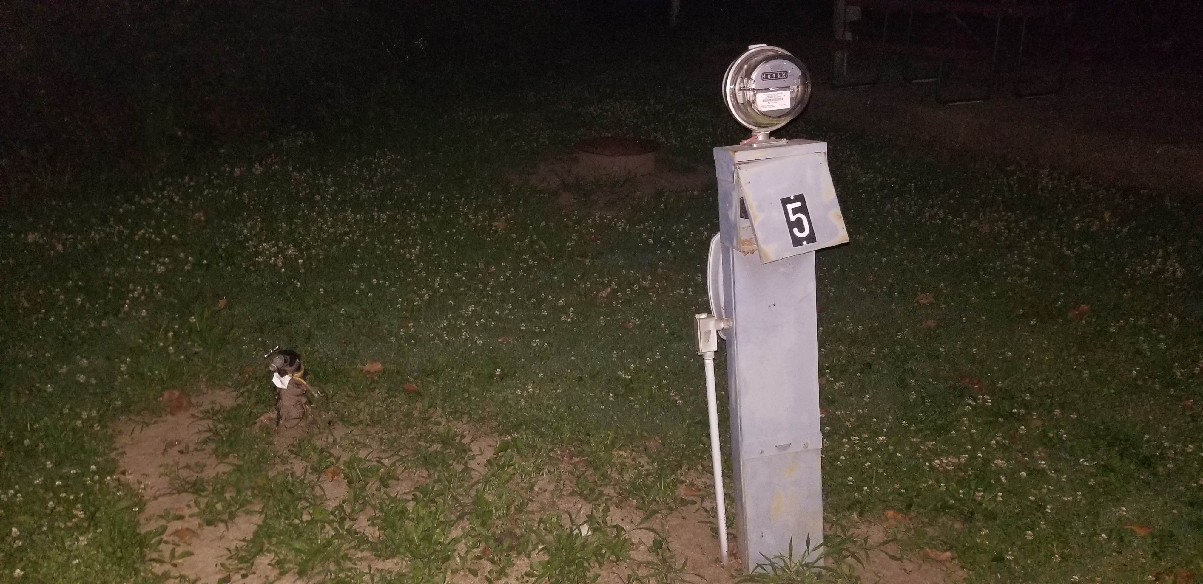 Camper-submitted photo at Cedarbrook Campground near Blue Ash, OH