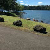 Review photo of Mayfield Lake Park by Colleen T., July 17, 2016