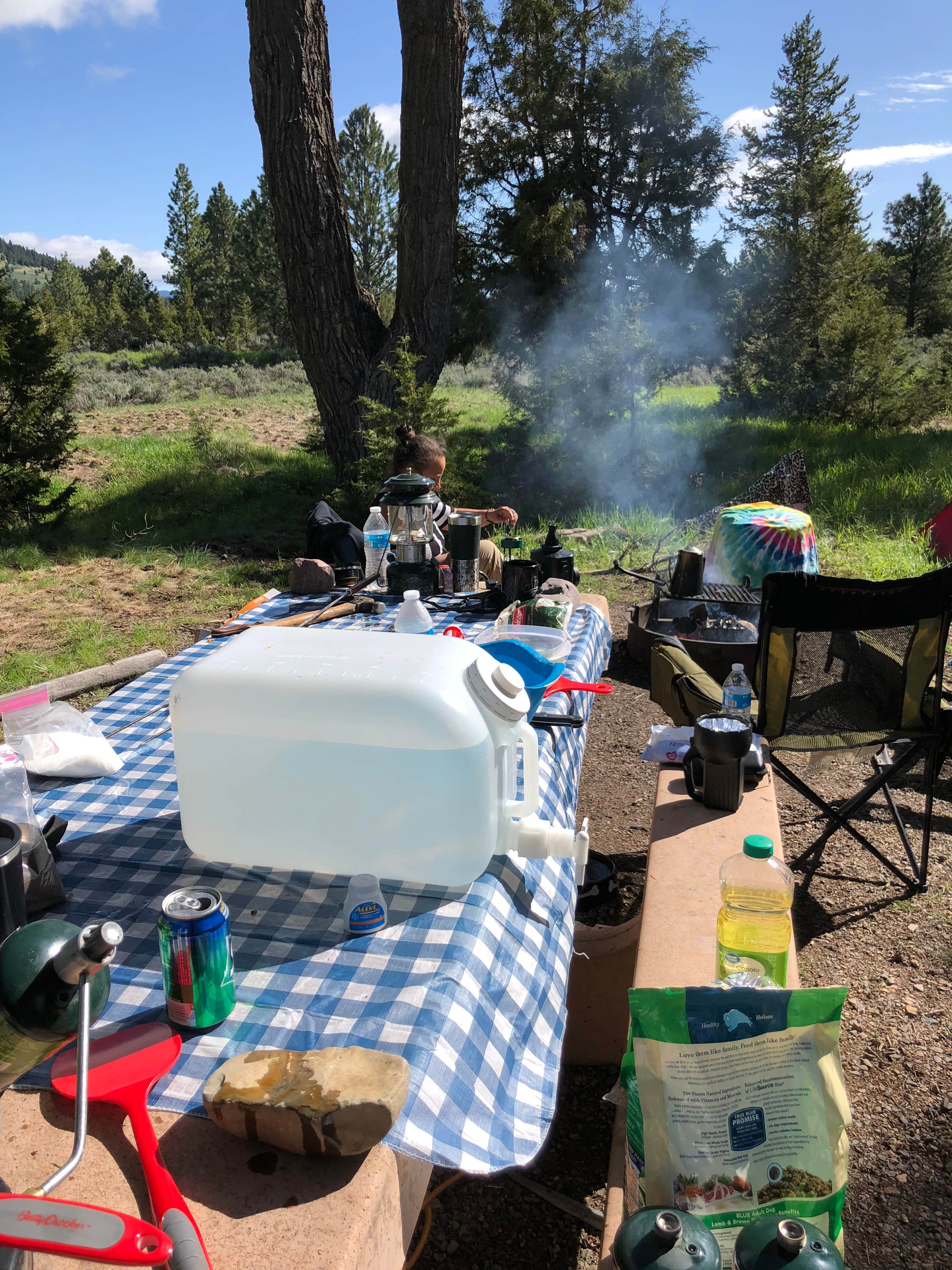 Camper submitted image from Aspen Grove Group Use Area (helena-lewis and Clark Nf, Mt) - 5