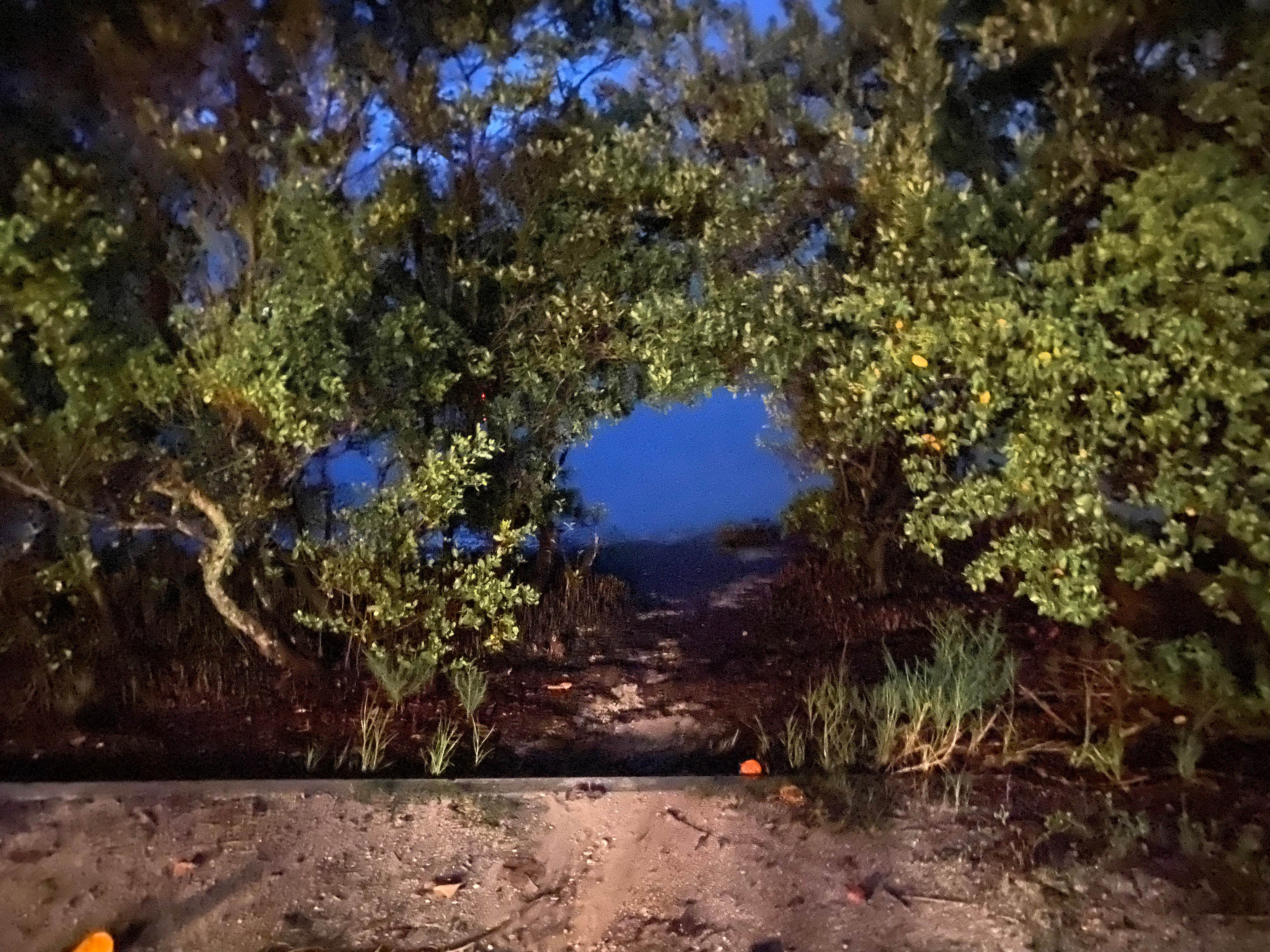 Best Camping Near St Petersburg Florida The Dyrt