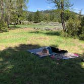 Review photo of Aspen Grove Group Use Area (helena-lewis and Clark Nf, Mt) by Steve S., June 12, 2018